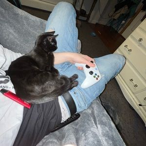 Meet your Posher, Drew